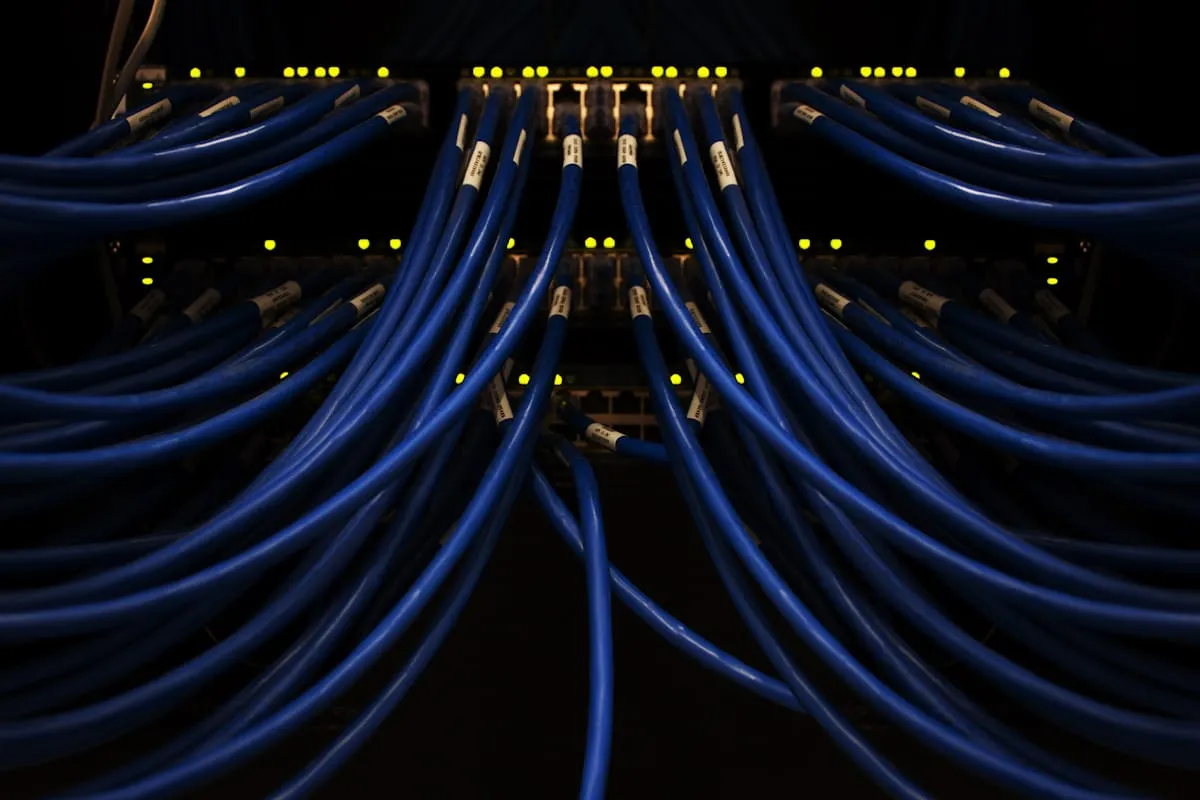 Modern server hardware for business connectivity